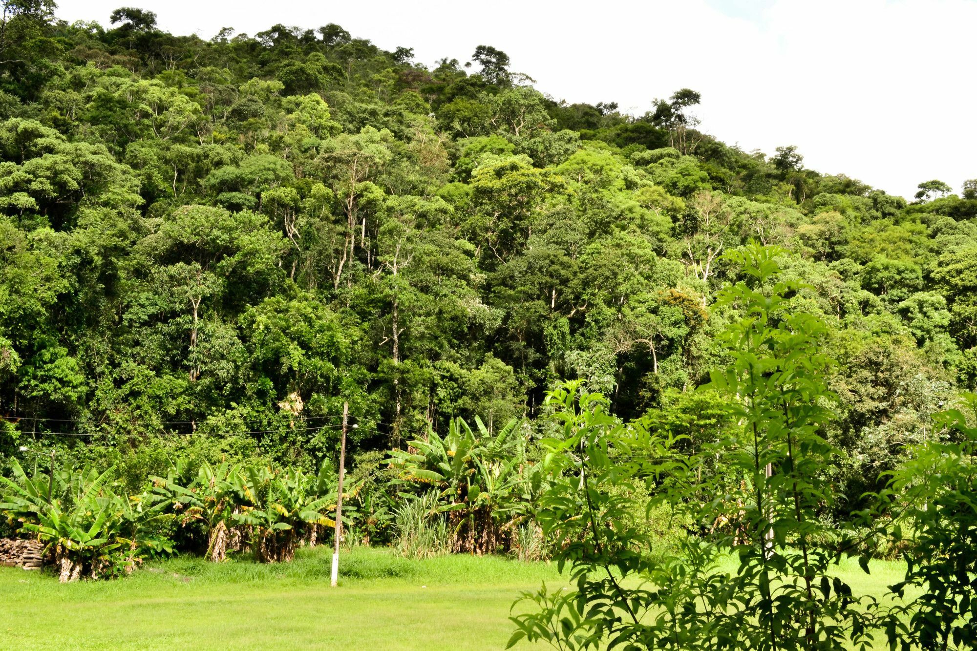 Vale Verde Penedo Hotel Eksteriør bilde